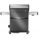 Napoleon Rogue® PRO-S 525 RSIB RVS SIZZLE ZONE™ gasbarbecue met 6 branders en 1 achteraan