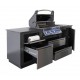 OASIS® Compact P500 Napoleon buitenkeuken met barbecue en siszoneMD