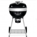 Griglia a carbone Napoleon PRO22
