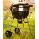 Barbecue grill Napoleon au charbon de bois PRO22