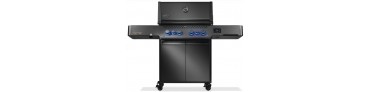 Barbecues en plancha's